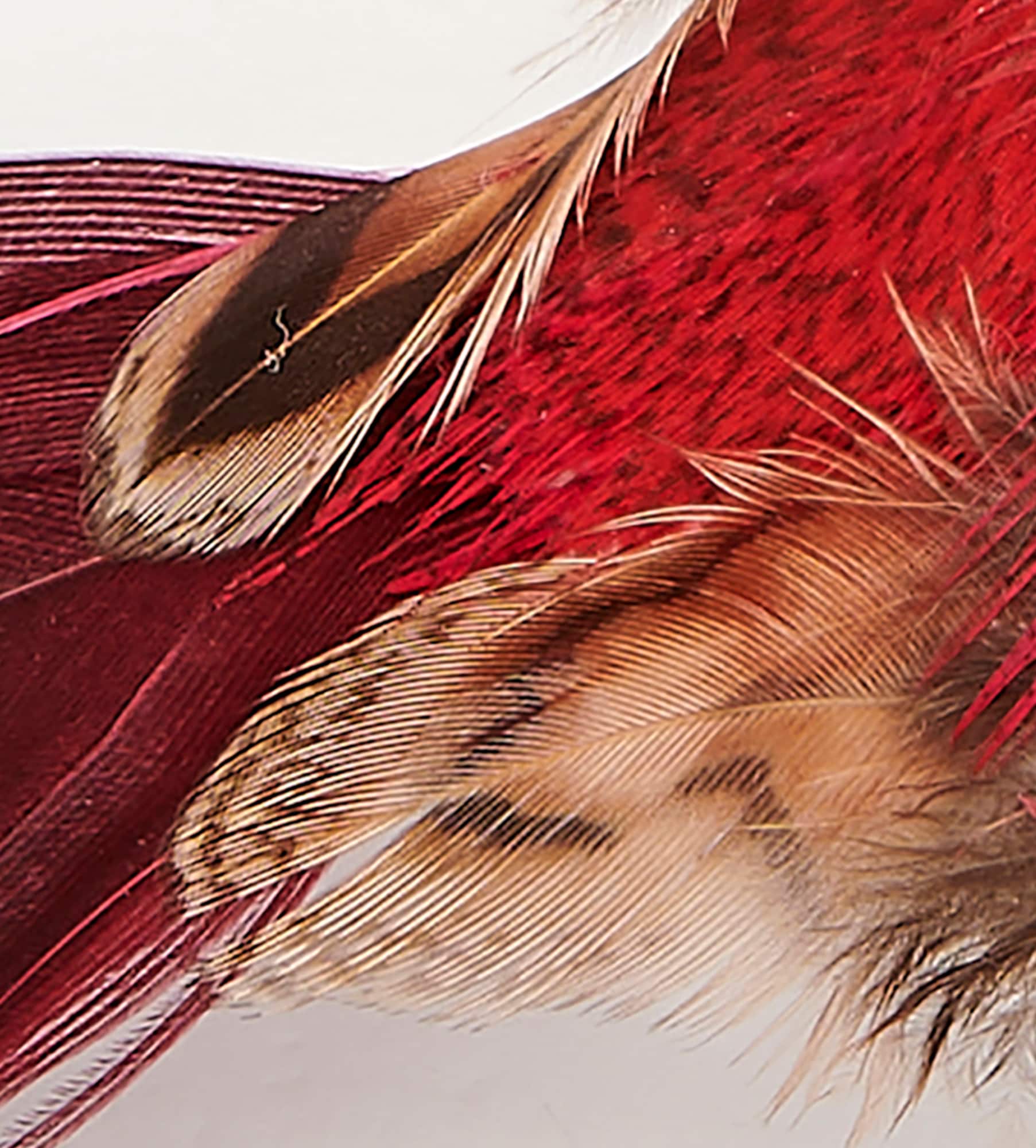 4.5" Red Feathered Bird with Metal Clips, 6ct.
